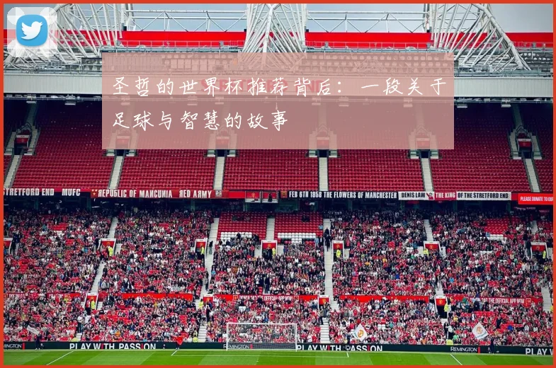 圣哲的世界杯推荐背后：一段关于足球与智慧的故事