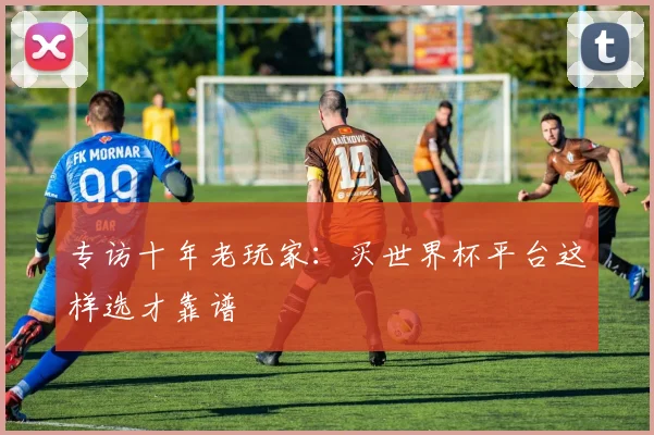 专访十年老玩家:买世界杯平台这样选才靠谱