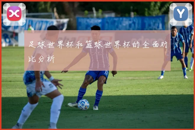 足球世界杯和篮球世界杯的全面对比分析