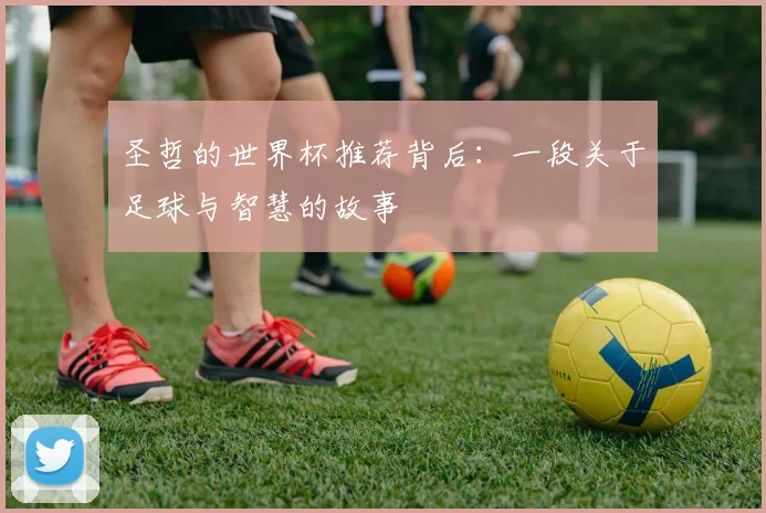 圣哲的世界杯推荐背后：一段关于足球与智慧的故事
