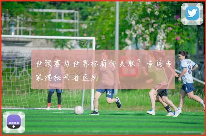 世预赛与世界杯有何关联？专访专家揭秘两者区别